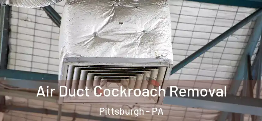 Air Duct Cockroach Removal Pittsburgh - PA