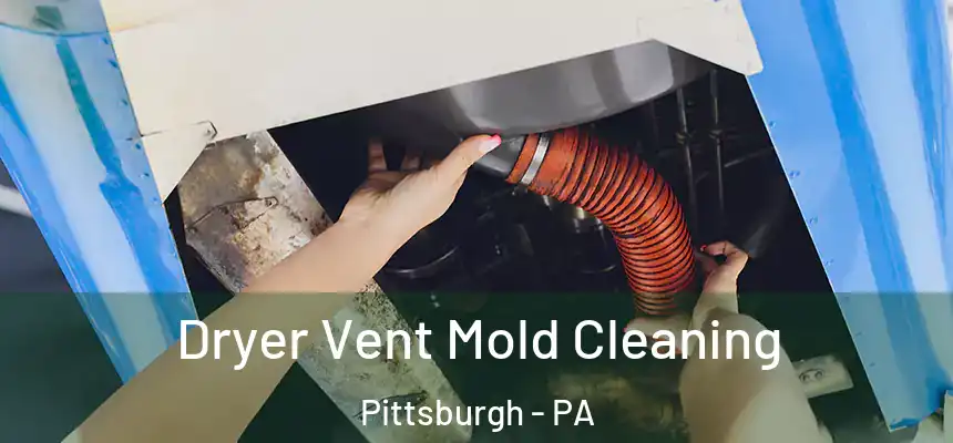 Dryer Vent Mold Cleaning Pittsburgh - PA