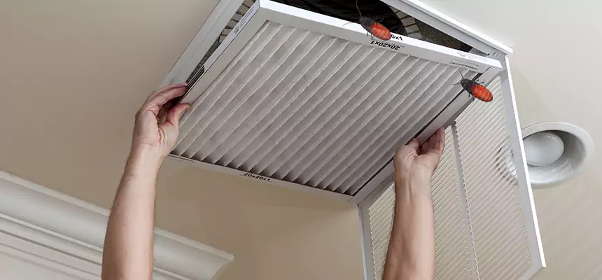 Our Insect Removal from Air Ducts Services in Pittsburgh, PA
