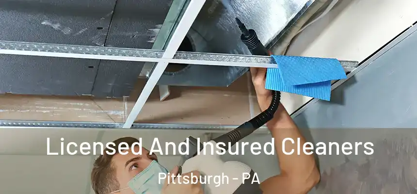 Licensed And Insured Cleaners Pittsburgh - PA