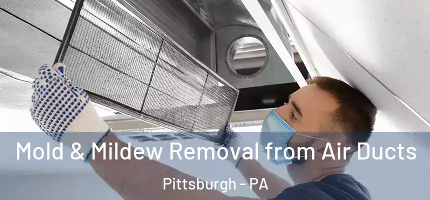 Mold & Mildew Removal from Air Ducts Pittsburgh - PA