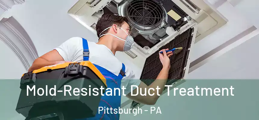 Mold-Resistant Duct Treatment Pittsburgh - PA