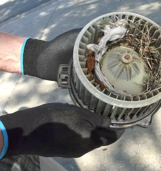 About Air Duct Mice Removal in Pittsburgh, PA