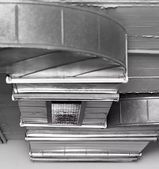 Professional Air Duct Pest Removal in Pittsburgh, PA